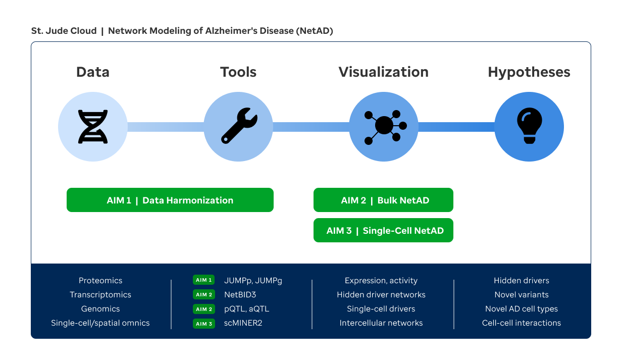 process of project with aims